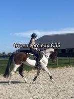 Partij lemieux dekjes, Dieren en Toebehoren, Ophalen of Verzenden, Zo goed als nieuw, Dekje