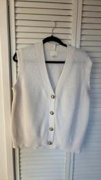 H&M gilet maat M, Kleding | Dames, Ophalen of Verzenden, Zo goed als nieuw, Maat 38/40 (M), Zwart
