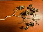 ANTIEKE KERSTTAK MET TINSEL JAREN 20, Ophalen of Verzenden