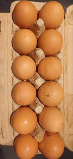 Verse kippen eieren - scharreleieren, Ophalen