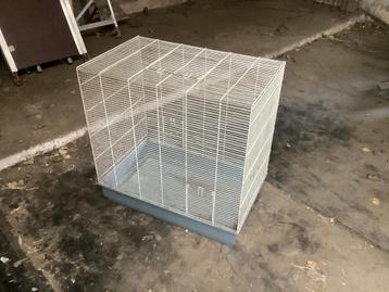 Vogelkooi Vogelhok beschikbaar voor biedingen