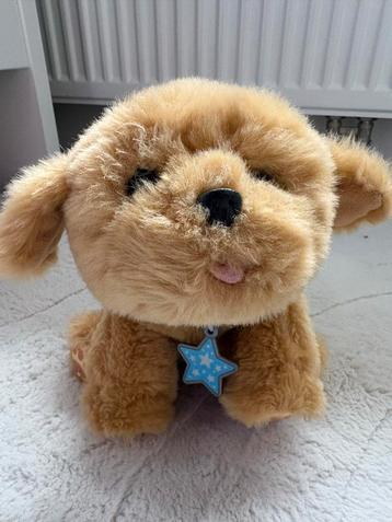 Little Live Pets interactieve puppy met Flesje beschikbaar voor biedingen