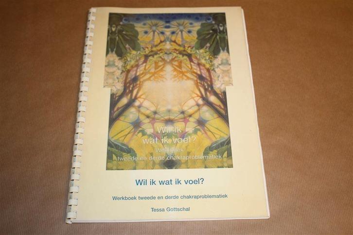 Wil ik wat ik voel? Chakraproblematiek. Tessa Gotsschal., Boeken, Esoterie en Spiritualiteit, Gelezen, Achtergrond en Informatie