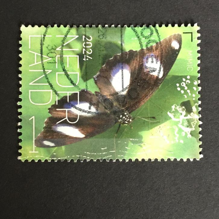 2086 Nederland 2024 Vlinders Bonaire - Mimic- gestempeld, Postzegels en Munten, Postzegels | Nederland, Gestempeld, Na 1940, Ophalen of Verzenden