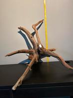 Prachtig stuk Kienhout / Driftwood / Spiderwood, Ophalen of Verzenden, Zo goed als nieuw, Plant(en), Steen of Hout