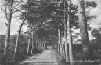 AK Bergen N.H. - Eeuwige Laan, Verzenden, Voor 1920, Gelopen, Noord-Holland