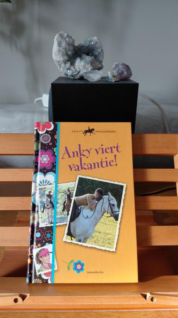 Anky viert vakantie!, Boeken, Kinderboeken | Jeugd | onder 10 jaar, Gelezen, Fictie algemeen, Ophalen of Verzenden