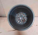 Kweekpotten 14 cm, Kunststof, Gebruikt, Rond, Bakumer Str.73,
49393 Lohne
Germany