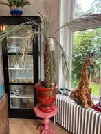 Palm ZONDER POT, Huis en Inrichting, Woonaccessoires | Zuilen en Pilaren, Ophalen, Gebruikt