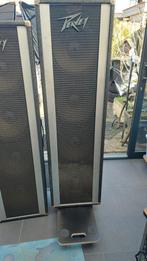Peavey zangzuilen, Gebruikt, 120 watt of meer, Front, Rear of Stereo speakers, Ophalen