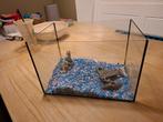 Boon aquarium met zwarte kit 30 x 20 x 20, Dieren en Toebehoren, Ophalen, Zo goed als nieuw, Leeg aquarium