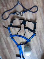 Edelrid Full body harnas klimgordel klimtouw helm KLIMSET, Sport en Fitness, Klimsport, Ophalen of Verzenden, Gebruikt, Klimsport-accessoire