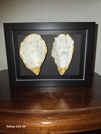 Handgemaakt Oesters, Ophalen of Verzenden, Nieuw