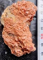 Vanadiniet rondom op matrix Marokko, Ophalen of Verzenden, Mineraal