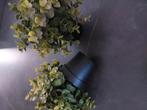 Te koop 2 kunstplanten Ikea, Huis en Inrichting, Woonaccessoires | Kunstplanten en Kunstbloemen, Ophalen of Verzenden, Zo goed als nieuw