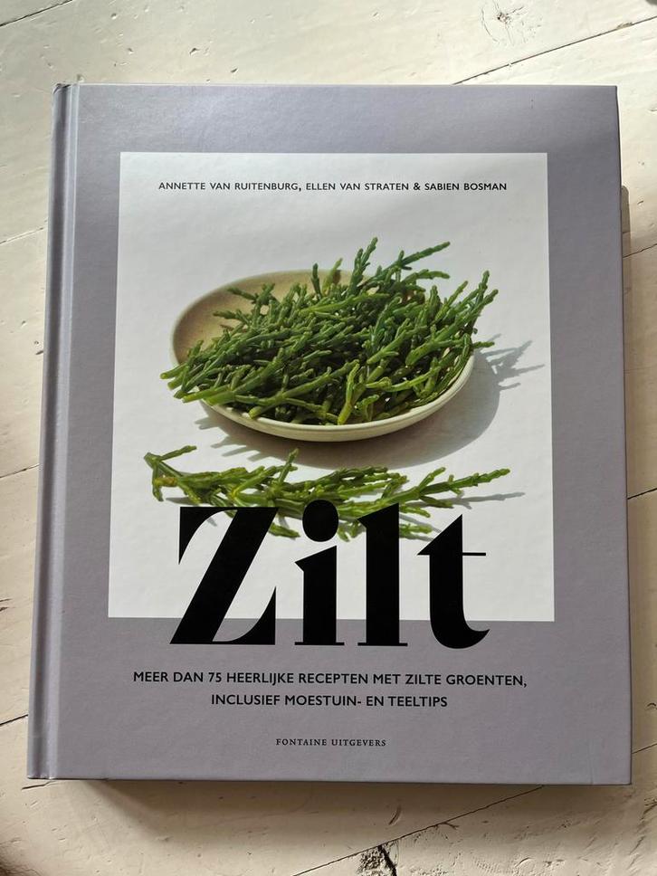 Zilt - Annette van Ruitenbyrg Kookboek, Boeken, Kookboeken, Zo goed als nieuw, Voorgerechten en Soepen, Nederland en België, Gezond koken
