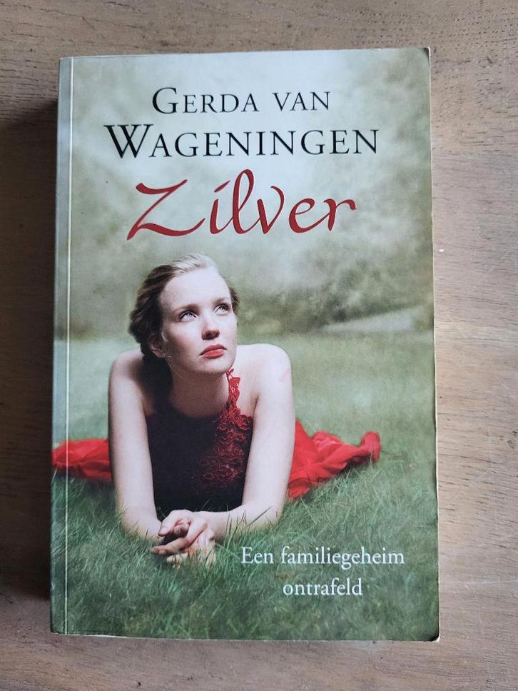 roman Zilver - Gerda van Wageningen, Boeken, Romans, Gelezen, Ophalen of Verzenden