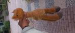 Knuffel lama, Kinderen en Baby's, Speelgoed | Knuffels en Pluche, Ophalen, Overige typen