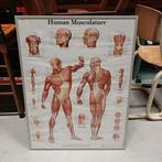 Mooie ingelijste poster / school plaat, Ophalen, Aardrijkskunde