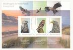 persoonlijke: kustgebied roofvogels, arend, buizerd, Ophalen of Verzenden, Na 1940, Postfris