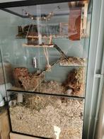 Speelparadijs voor gerbils. Gerbilarium 60x40x100, Dieren en Toebehoren, Knaagdieren en Konijnen | Hokken en Kooien, Ophalen of Verzenden