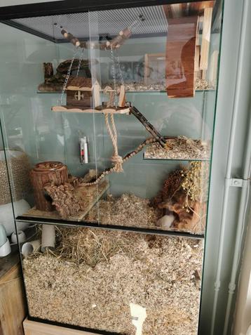 Speelparadijs voor gerbils. Gerbilarium 60x40x100 beschikbaar voor biedingen