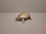 Medicijn potje schildpad, Antiek en Kunst, Ophalen of Verzenden