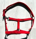 Cob halster QHP, Ophalen of Verzenden, Nieuw, Recreatie