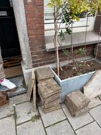 Tuintegels meerdere maten GRATIS, Tuin en Terras, Tegels en Klinkers, Ophalen, Zo goed als nieuw