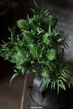 Bosje groene distel, Www.jufbrocante.nl, Www.jufbrocante.nl, Nieuw, Ophalen of Verzenden