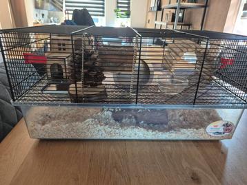 Zeer nette kooi beschikbaar voor biedingen