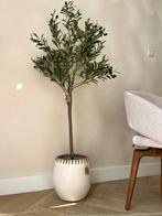 Olijfboom 140cm, Huis en Inrichting, Woonaccessoires | Zuilen en Pilaren, Nieuw, Ophalen of Verzenden, Aa, Aa