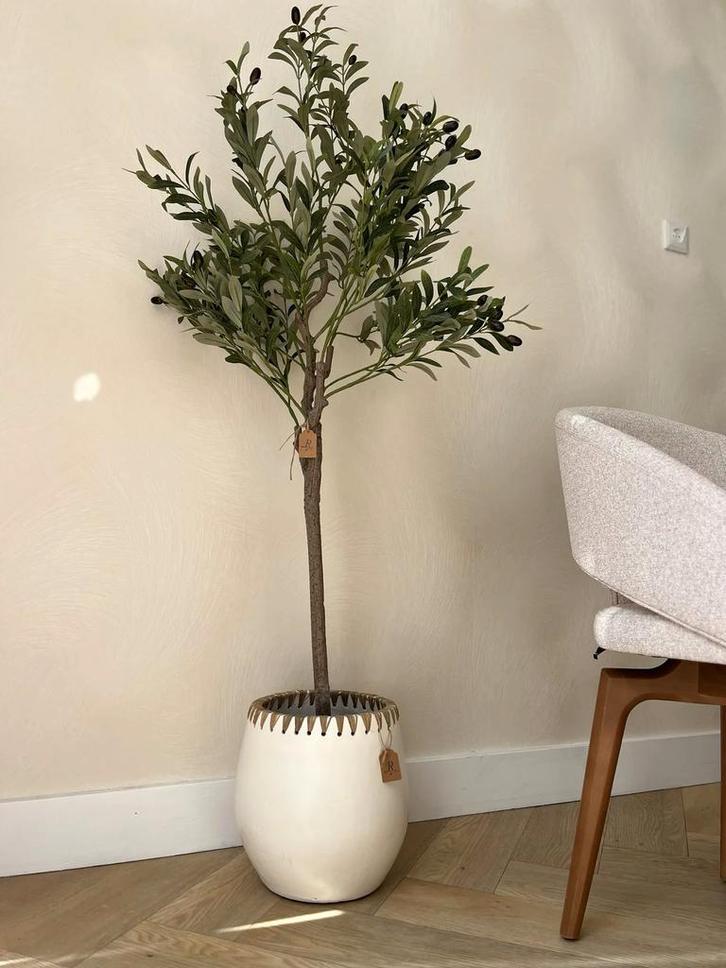 Olijfboom 140cm, Huis en Inrichting, Woonaccessoires | Zuilen en Pilaren, Nieuw, Ophalen of Verzenden