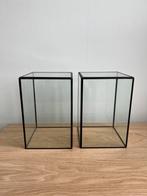 Terrarium Vitrine Box Glas (Xenos), Huis en Inrichting, Ophalen, Zo goed als nieuw