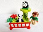 Duplo Dierentuin dieren panda, Kinderen en Baby's, Speelgoed | Duplo en Lego, Duplo, Gebruikt, Ophalen of Verzenden