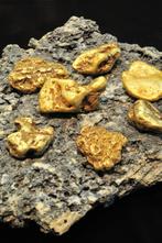 50 Genuine Alaskan Gold Nuggets Goldpieces Purity 21-23kt, Goud, Ophalen of Verzenden