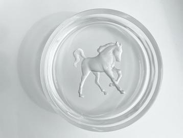 Hoya kristal Japans design gegraveerd schaaltje met paard