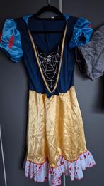 Carnavalskleding, Ophalen of Verzenden, Gedragen, Maat 38/40 (M), Carnaval