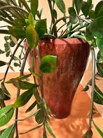 Bordeaux rode plantenpot met plant, Tuin en Terras, Bloempotten, Ophalen, Rond, Binnen, Zo goed als nieuw