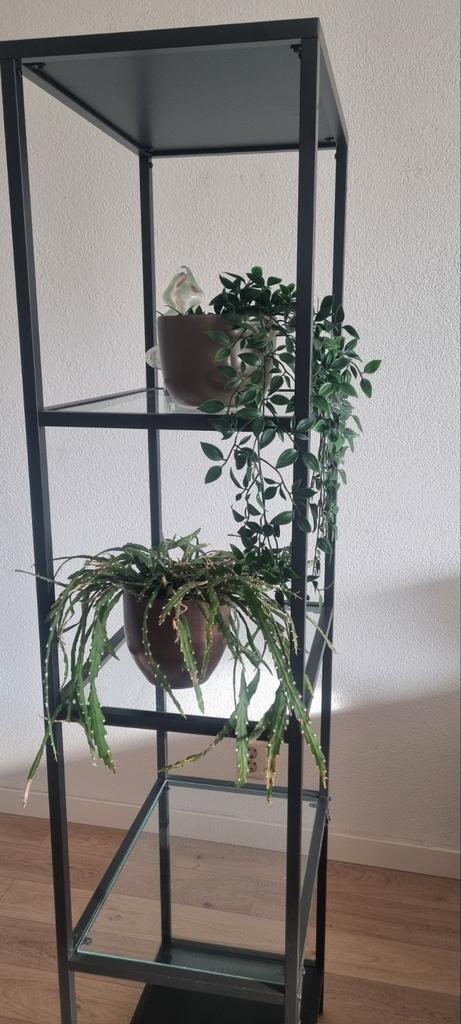 Ikea Vittsjo Stellingkast - Zwart/Glas, Huis en Inrichting, Kasten | Stellingkasten, Zo goed als nieuw, Ophalen