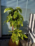 Kunstplant/Boom 120cm - Realistisch & Veelzijdig!, Huis en Inrichting, Kamerplanten, Ophalen of Verzenden