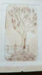 ets boom Ruud van Zon kunstenaar uit Heemskerk, Antiek en Kunst, Kunst | Etsen en Gravures, Ophalen