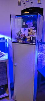 Aqua medic blennie zeeaquarium met hoog meubel, Dieren en Toebehoren, Vissen | Aquaria en Toebehoren, Ophalen, Gevuld zeewateraquarium