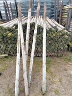 Gecreosoteerde / geteerde weidepalen / palen, Tuin en Terras, Ophalen, Gebruikt, 250 cm of meer, Palen