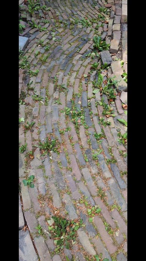 Diverse soorten stenen!, Tuin en Terras, Tegels en Klinkers, Gebruikt, Overige typen, Beton, 10 m² of meer, Ophalen