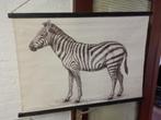 Doek met zebra (98 x 70 cm), Gebruikt, Ophalen