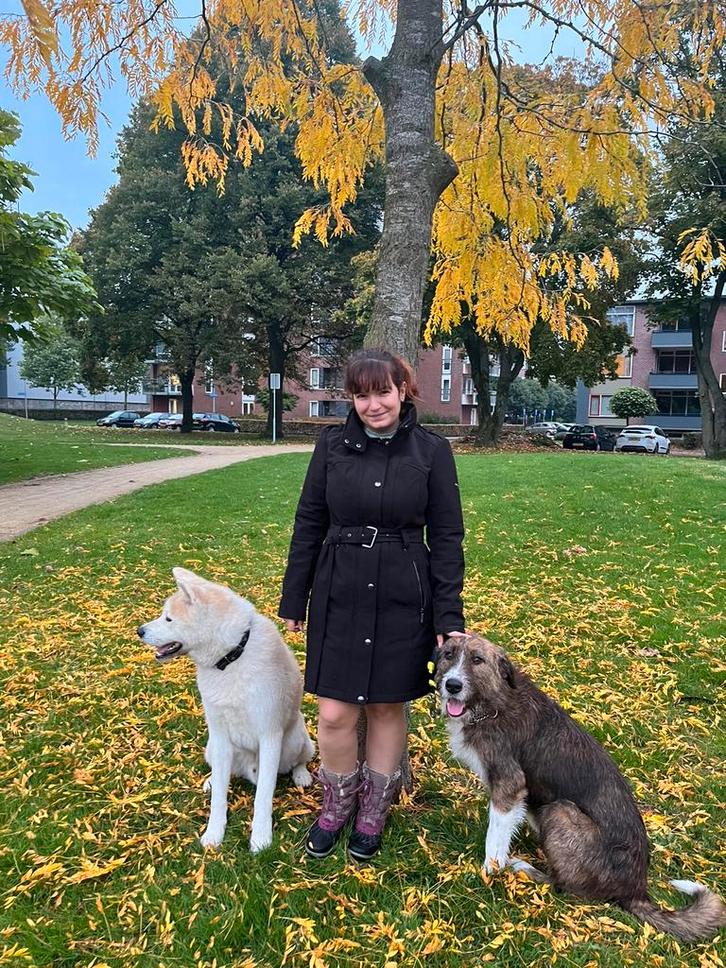 Honden en katten oppas, Diensten en Vakmensen, Dieren | Honden | Verzorging, Oppas en Les, Particuliere oppas