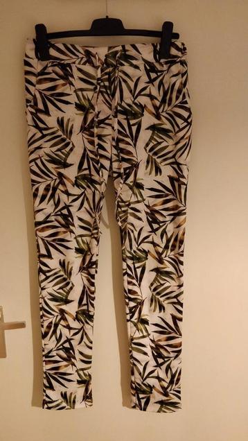 Broek beschikbaar voor biedingen
