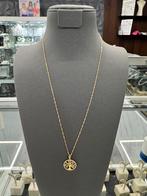 14K Goud - Gouden Ketting + Hanger - Nieuw - 14Karaat, Ophalen of Verzenden, Nieuw, Goud, Goud