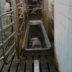 Jetwash klauwensproeier